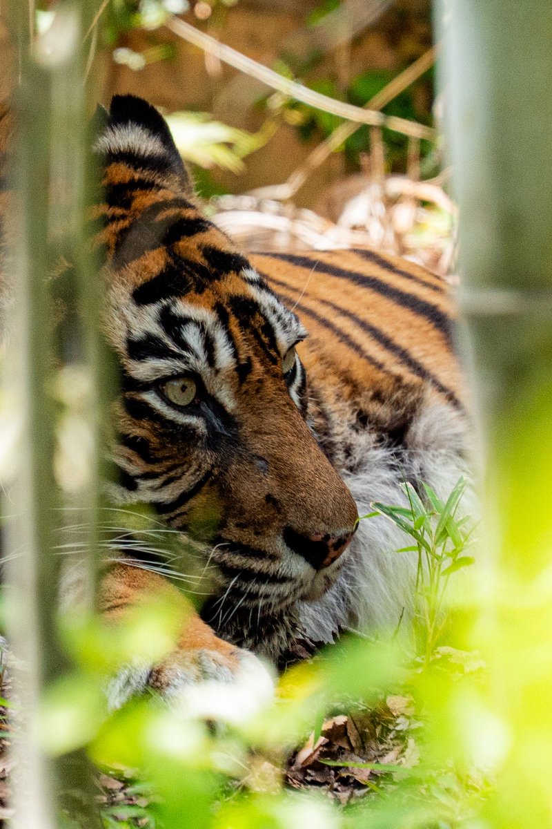 saoricamera's tweet photo. 水族館の次に動物園行きたい

 #カメラ女子  #カメラ好きと繋がりたい https://t.co/v9lq3PdFqj