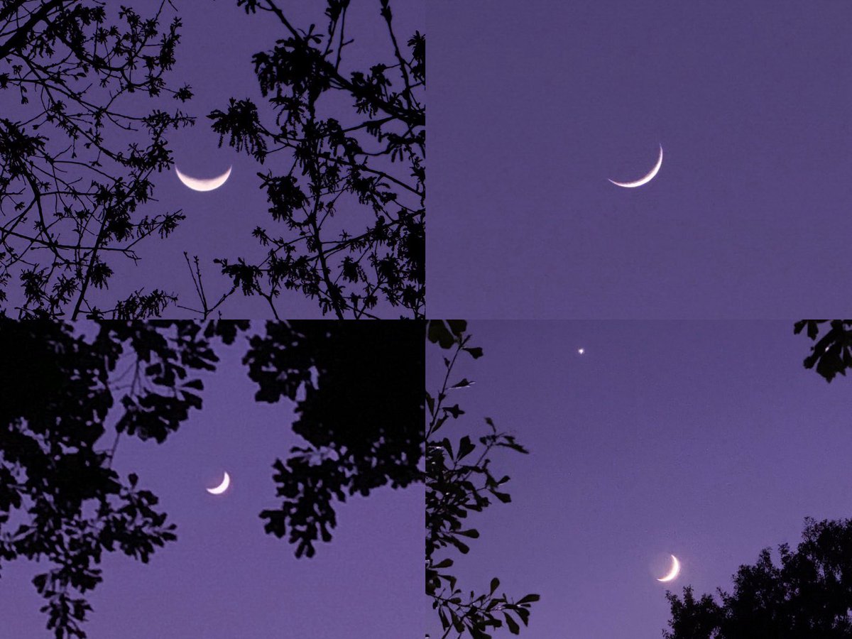 sage_astr's tweet photo. crescent moon https://t.co/YgvkGEr2gq