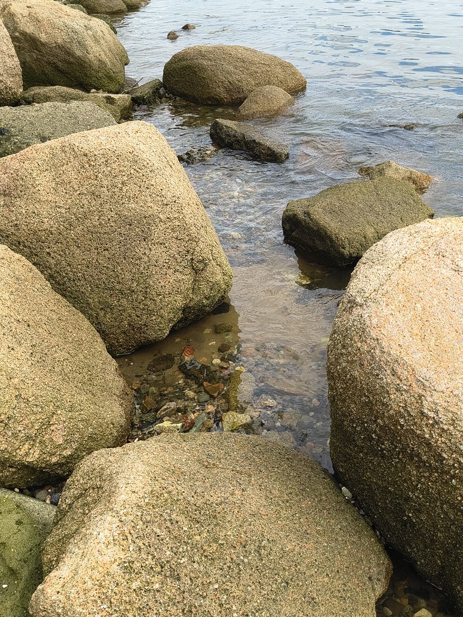 DODAGON222's tweet photo. 雨後の濁りを想像してたけど、大ハズレ https://t.co/iGUvl7d1dZ
