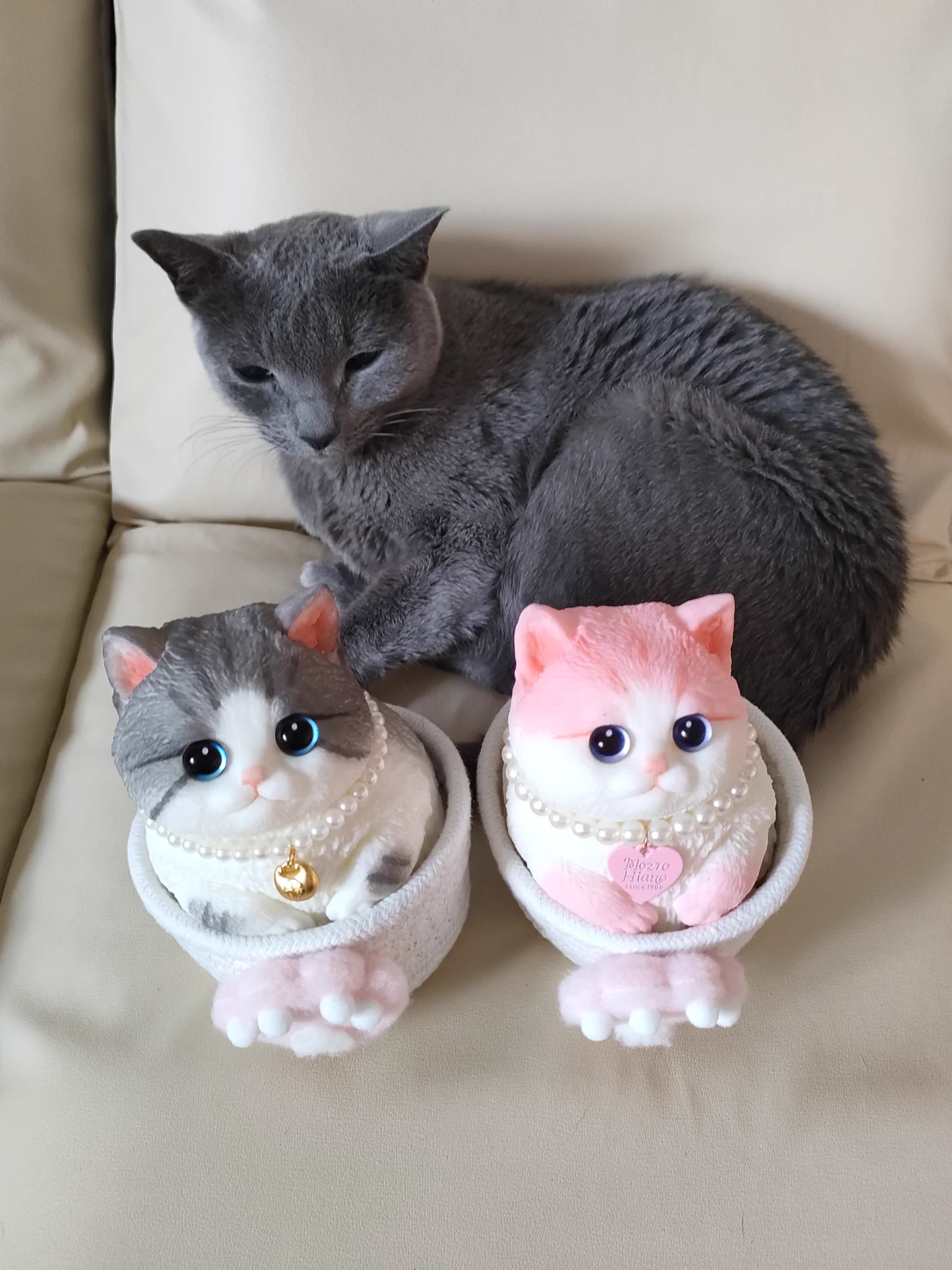 猫ちゃん　ミニスクイーズ 猫カフェちぐら on X: 