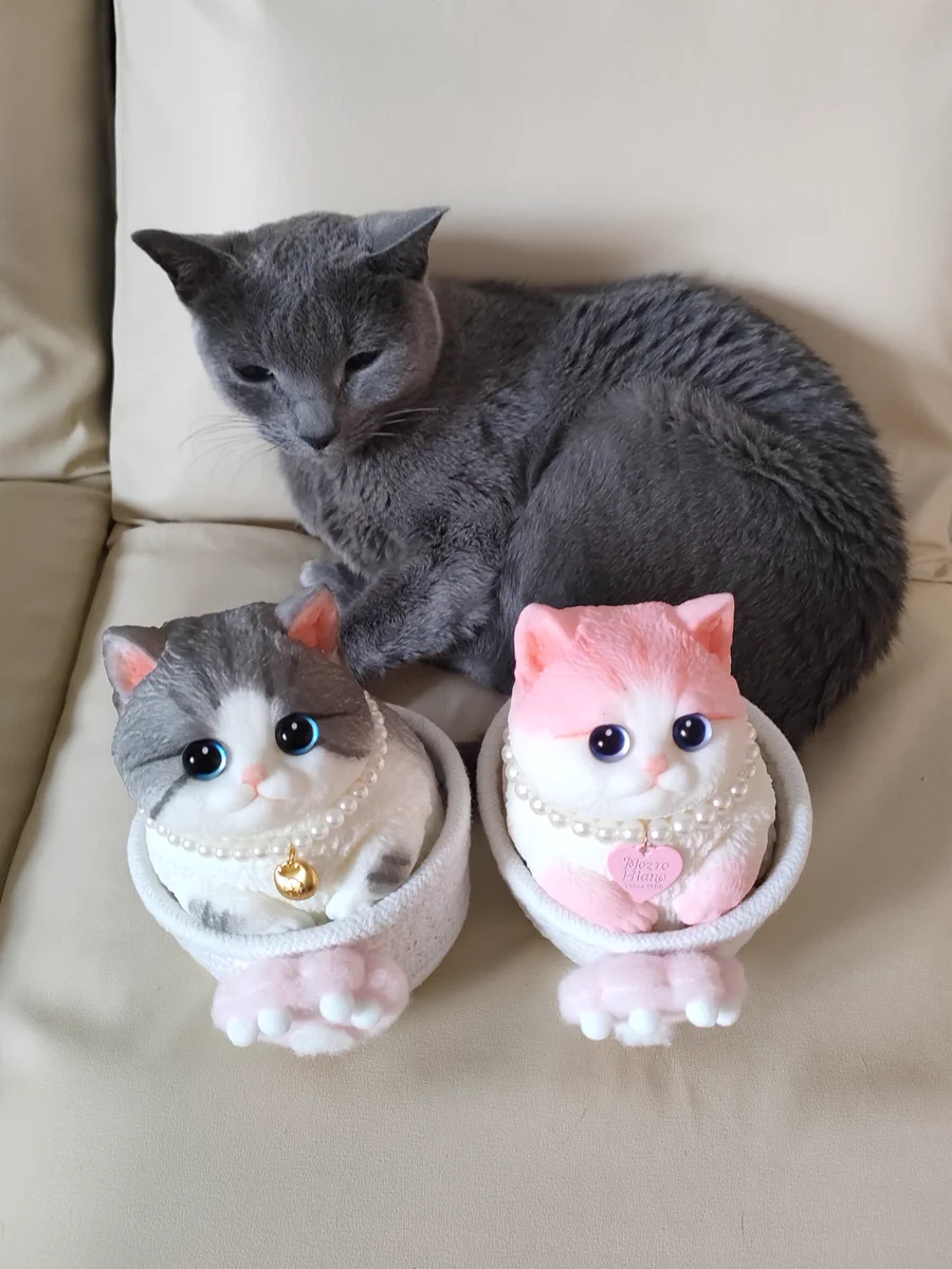 猫カフェちぐら on X: 