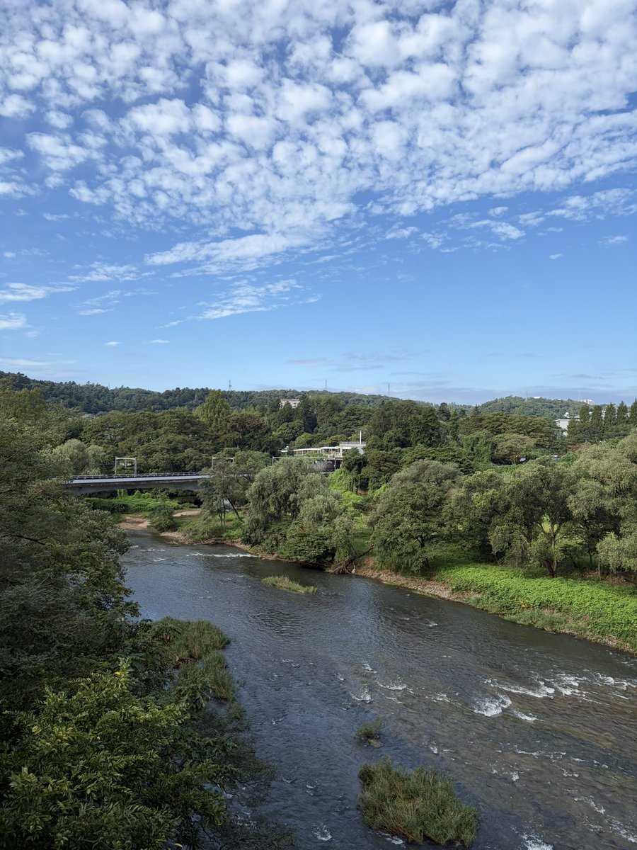 su91115301's tweet photo. 早朝の広瀬川。
秋の空。
過ごしやすい季節になってきました✨ https://t.co/rRiM5kyQdG