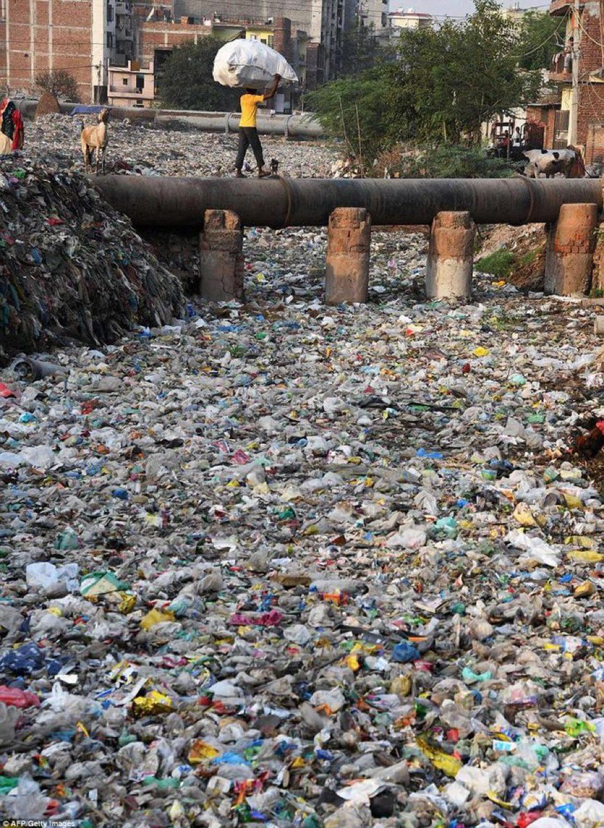 alt_powindah's tweet photo. 🇮🇳🤮 A casual morning in India https://t.co/uv4jAC5uiz