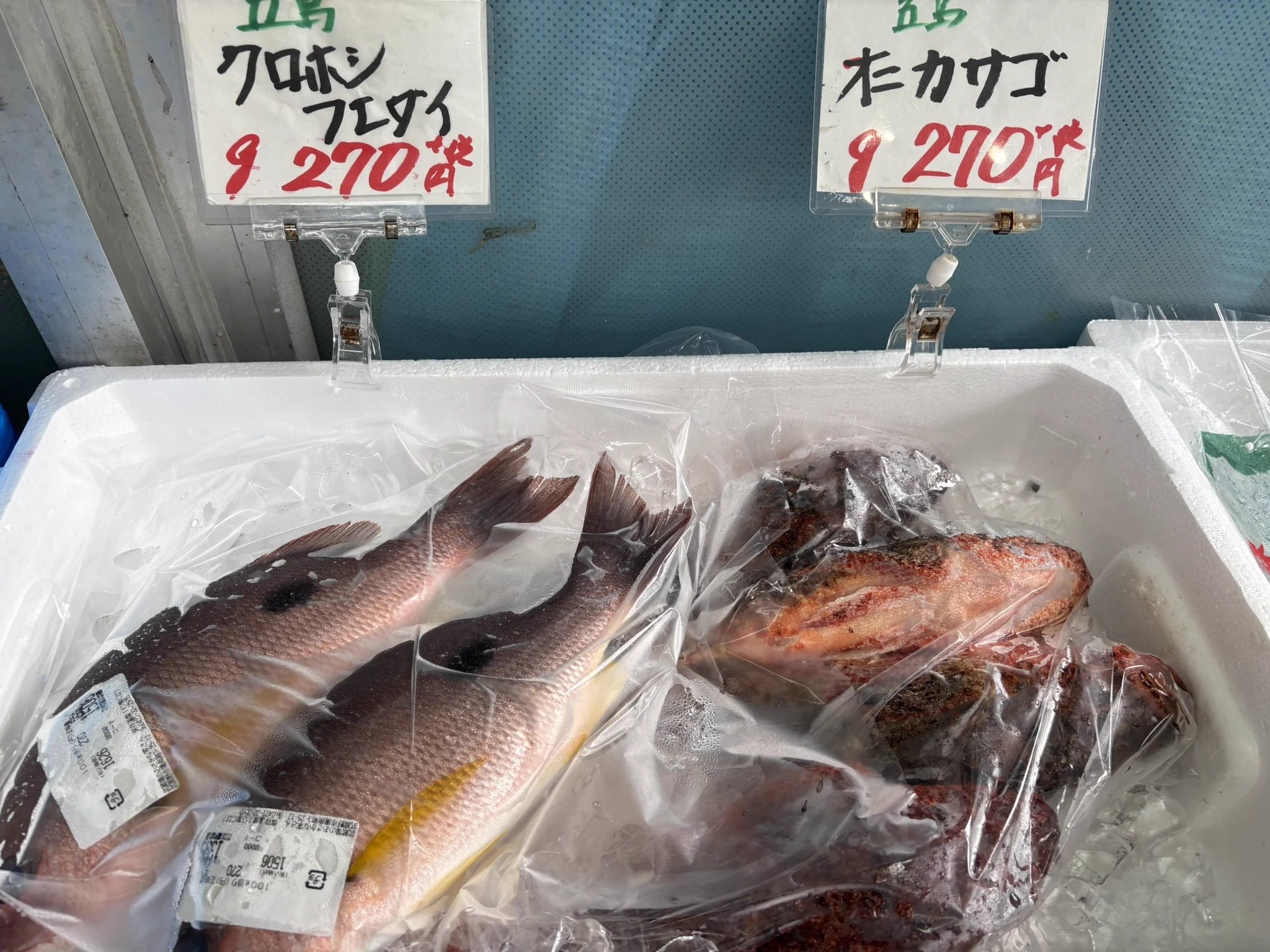 本店】武蔵境おさかな家さん南口店 a X / X