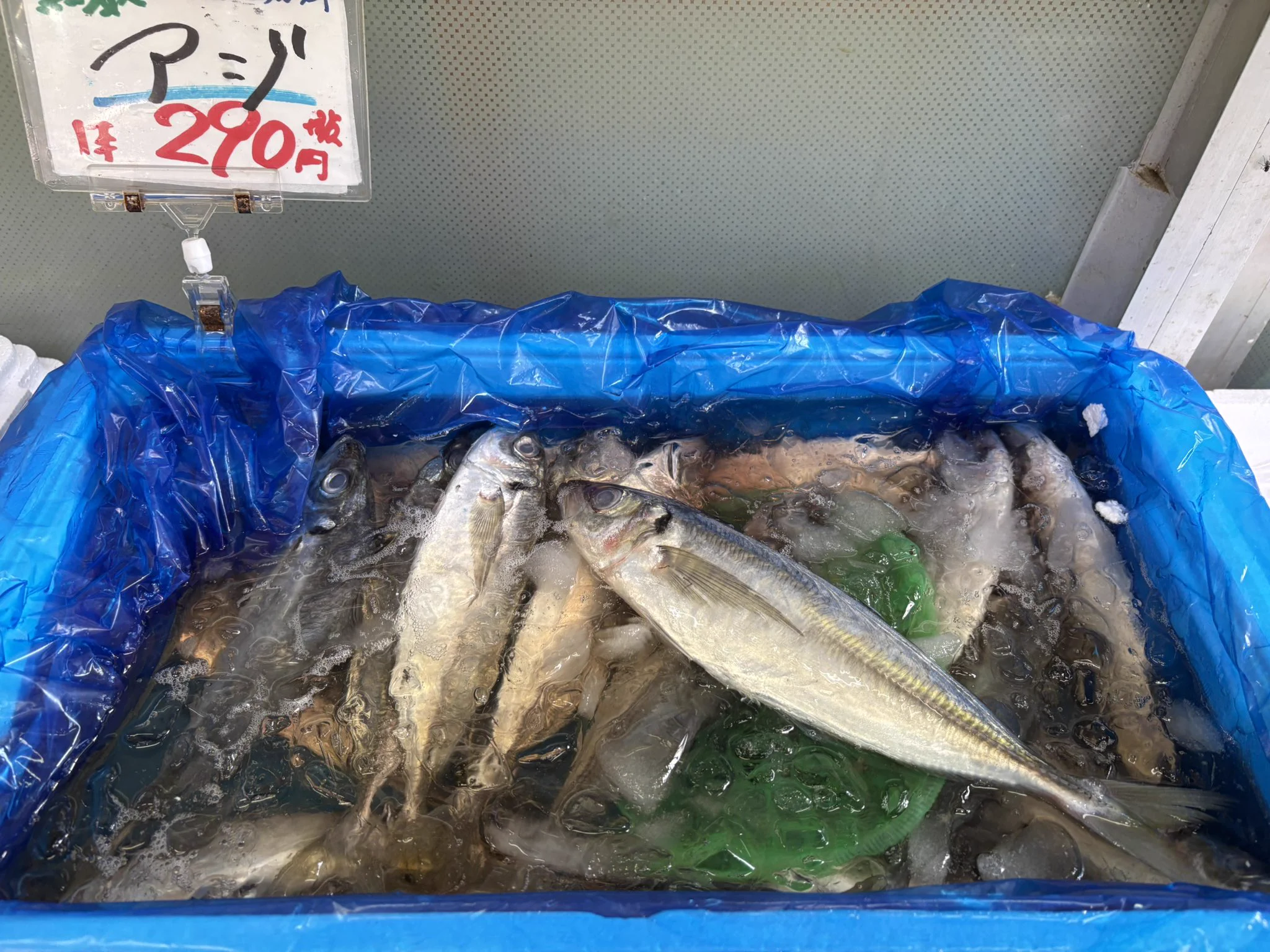 本店】武蔵境おさかな家さん南口店 a X / X