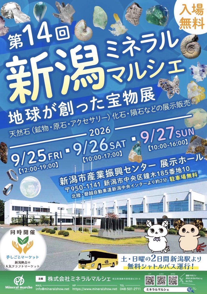 Loose0001T's tweet photo. 【出展記念プレゼント🎁】

次回のたからいしルースは！
9月25日（金）〜27日（日）
新潟ミネラルマルシェ！

出展を記念して「バイカラー（カワセミ）オパール」を1名様にプレゼント！

【応募方法】
①フォロワーになる
②このポストをリポスト&amp;いいね

26日締切。
翌週当選者にDMします！ https://t.co/2szAtV0HDQ