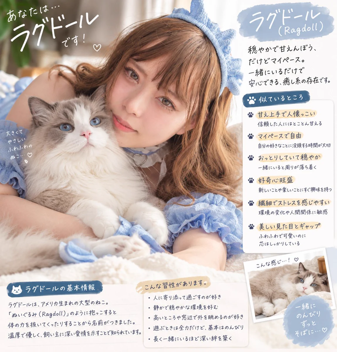まよか🐾✨9/22ちし共E-29 on X: 