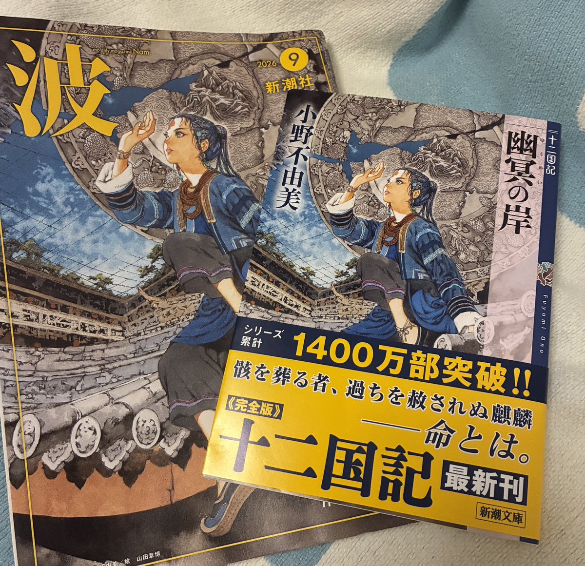 ania469's tweet photo. 朝から飛びついて買ってきたものの、ゆっくり読もうと思う https://t.co/22yBCCEHdd