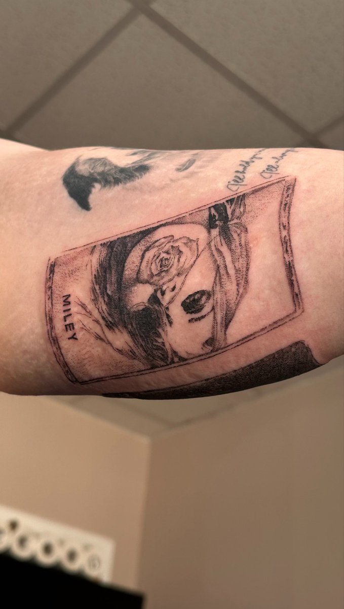 CatIsInHeat's tweet photo. THE BASS PERSUADES me to get a tattoo 
New flat, new Miley album , new tattoo
I love my silly little life https://t.co/kxdq2boCal