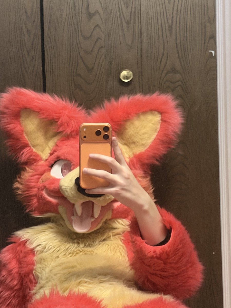 BugggyBee's tweet photo. Tell me what I should post next ? :3 https://t.co/Ybm6uJehJF