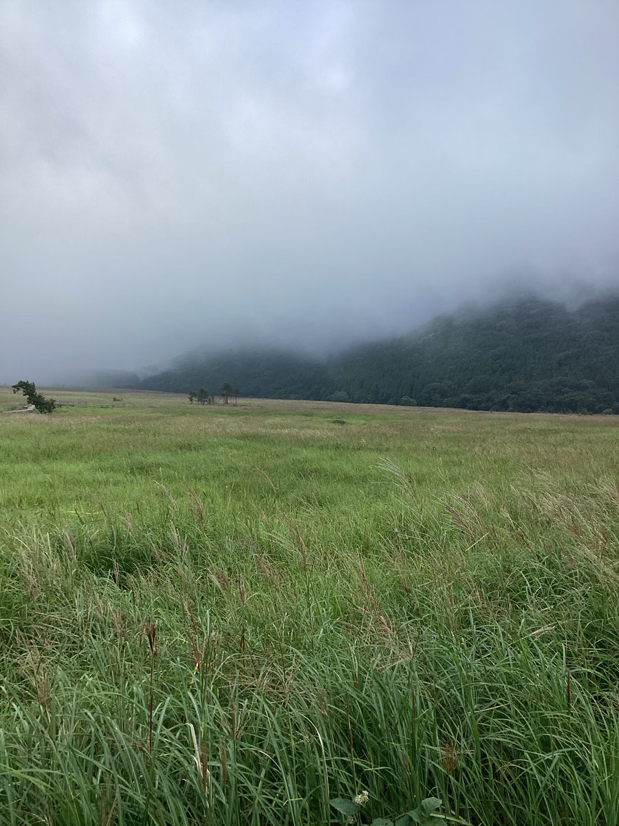 chojabaru_vc's tweet photo. 9月17日(木)

気温　18℃
天気　曇

霧の濃い、風も強いミステリアスな朝です。雨は降る予報は出ていませんが、不安定なお天気が続きますね。 https://t.co/5UMVpyf1vg
