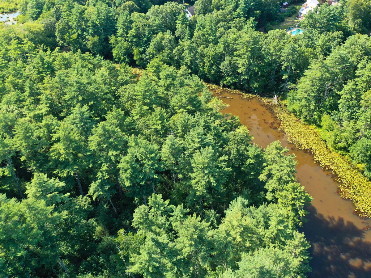 MovementumRE's tweet photo. PRICE IMPROVEMENT! π¨ Now $225,000!
Build your dream home on 1+ private acres at 0 Nel Bonney Rd, Plympton! π³π
β’ Perk tested & passed for 4-bed septic β
β’ Preliminary zoning permit approved π
β’ Mins to Rt. 44 & Plymouth
DM for plans!
#PlymptonMA #MovementumRealty https://t.co/BaP8glG2Fy