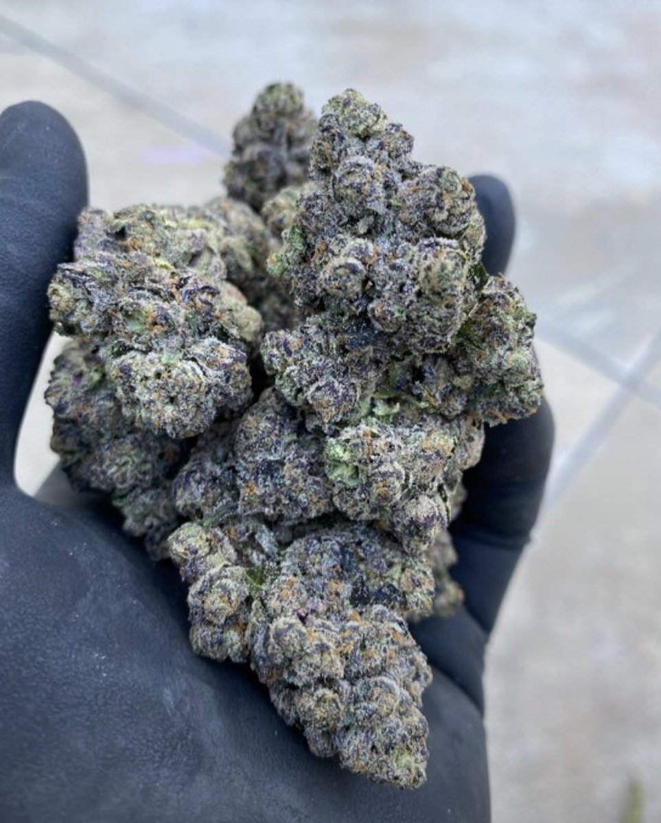 D420plug's tweet photo. Apple Fritter 🥺

AVAILABLE IN BIT N BULK 📦
☎️ORDER ON TELE: https://t.co/idyVABFUvQ

NEED SOMETHING ELSE?
SHOP ON MY DISCORD 🏪
https://t.co/VHIczXNwDx https://t.co/kMoxj7mUfg