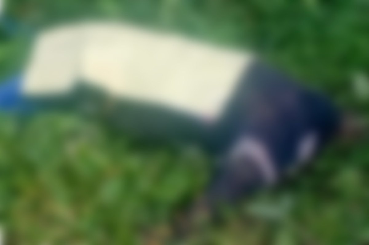 LupitaJuarezH's tweet photo. 🚨🔴 Fue asesinado el padre Román de la Cruz Hernández, párroco de Santa Cruz, en Huejutla, Hidalgo. Su cuerpo fue localizado en Lolotla y tenía una cartulina con un mensaje.

La Conferencia del Episcopado Mexicano hizo un llamado urgente a las autoridades para realizar una investigación exhaustiva y que no haya impunidad.