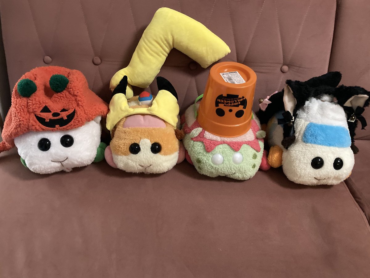 puipui_channel's tweet photo. 涼しくなってきたからハロウィンの準備プイ https://t.co/e2BnLrs9Rp