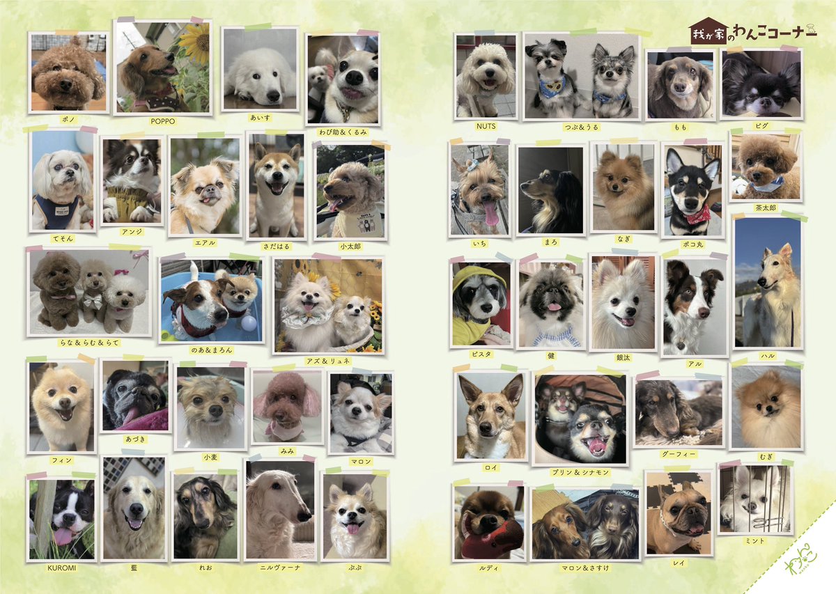 gekkan_wanko's tweet photo. 【募集】ワンちゃんの写真を大募集！🐕📸月刊わんこvol.36（11月15日発売）我が家のわんこコーナーに掲載させて頂きます！📖✨ ※前回応募された方もご応募可能です。違う写真をお送りください🐶

──────────────

【応募方法】
① @gekkan_wanko をフォロー
② この投稿をRP（RT）＆いいね
③ 愛犬のお名前を添えて、
お写真をリプライしてください🐶

──────────────

【募集期間】
2026年9月25日（金）23:59まで

──────────────

【注意事項】
・応募多数の場合は抽選となります
・高画質で明るいお写真をお願いします
・画質によっては掲載を見送らせていただく場合がございます
・ご応募は1頭につき1枚までとなります

──────────────

次号（10/15発売）掲載予定の当選ワンちゃん達はこちら（添付）🎊
発売をぜひお楽しみに！

※10/15発売号に掲載保証（ご予約）の方で、万が一、掲載漏れがある場合は、大変お手数ですが、9/20（日）18時までに、ご連絡をお願いいたします→ gekkan.gr@gmail.com

#月刊わんこ
#我が家のわんこコーナー