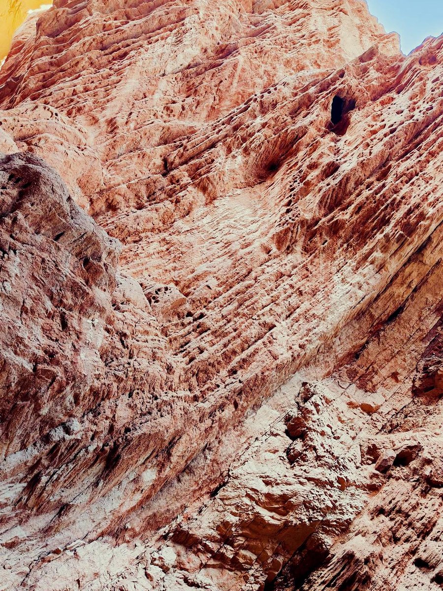 JoselynFrajp's tweet photo. Just watched the sunrise paint the Grand Canyon in layers of gold and pink—this view’s way better than any screen!  #TravelMoments https://t.co/jBIPdAL7ux
