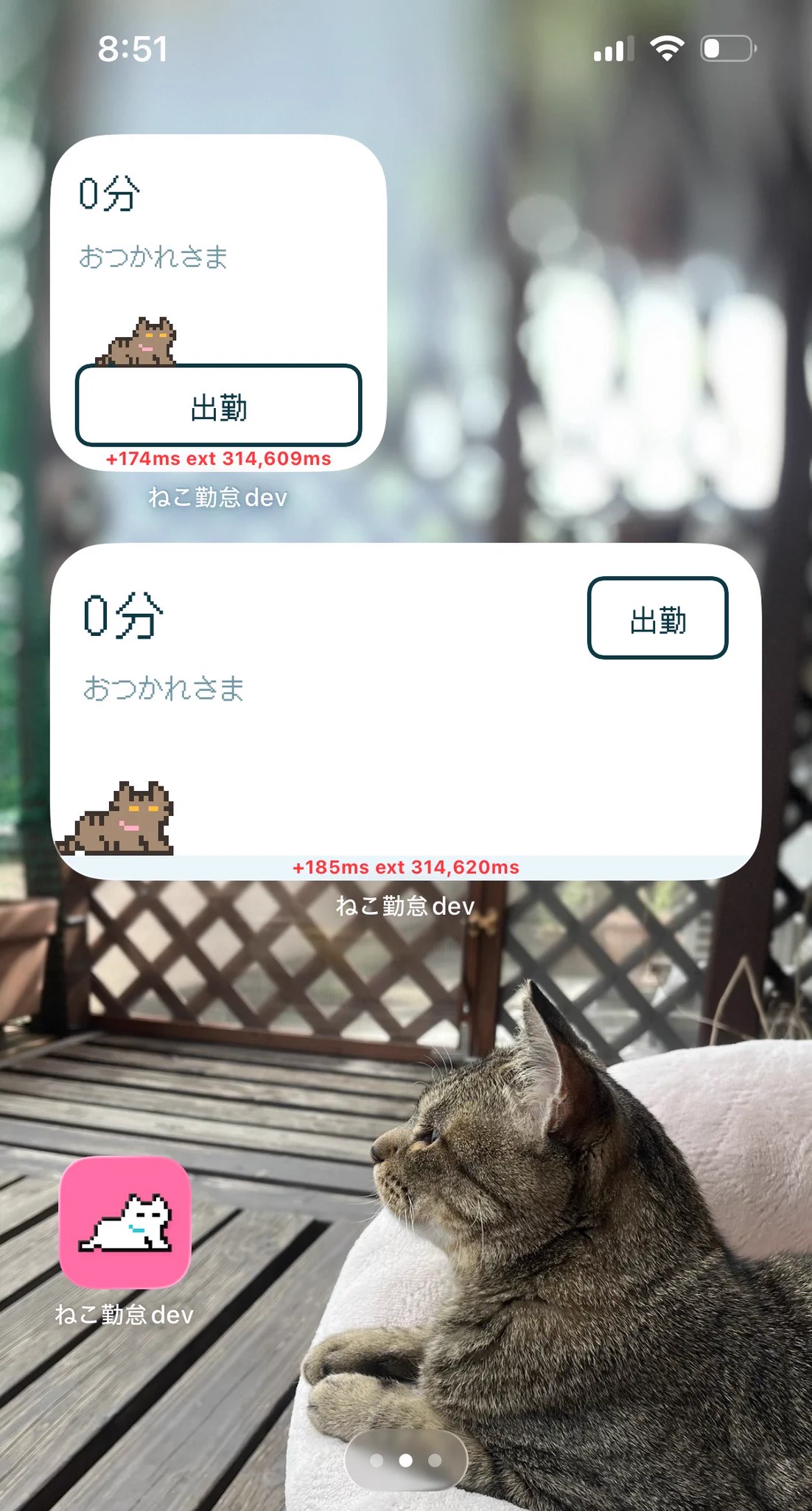c-cya_ｼﾁｬのねこ屋さん (@c_cya__) / X