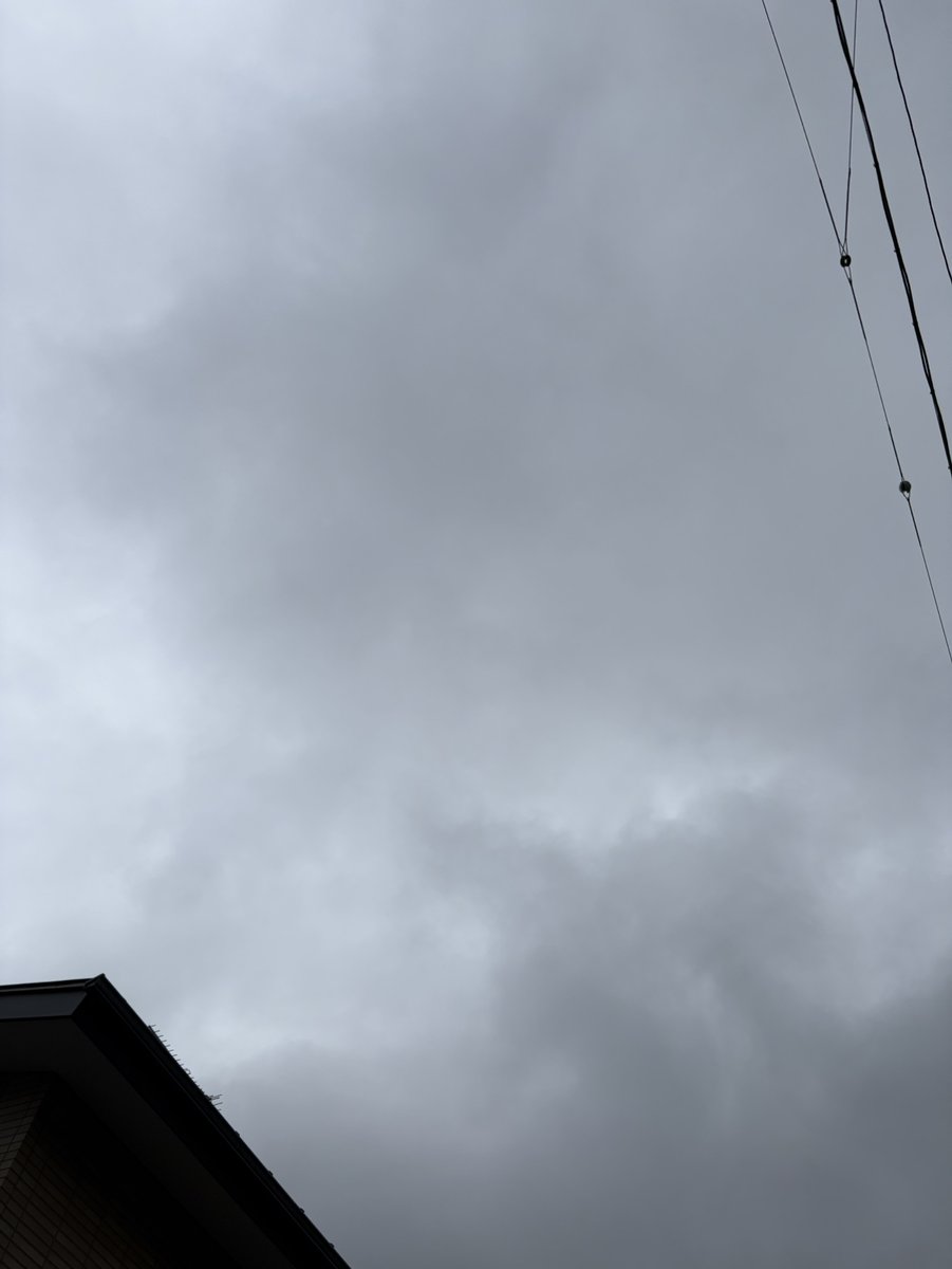 marunakasetsubi's tweet photo. おはようございます！
三芳町は #秋雨前線 の影響で、
本日も曇りです😶‍🌫️

#彼岸花 が咲く時期になり、
近所にはめずらしい白い彼岸花が🌸
やさしく上品な雰囲気が素敵です😊

少しずつ秋の訪れを感じます🍂

#企業公式が朝の挨拶を言い合う #企業公式つぶやき部 #イマソラ https://t.co/UVMJDTPZW3