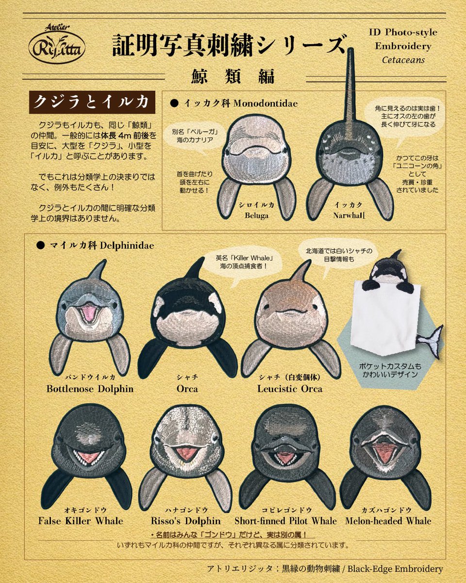 _rijitta's tweet photo. 証明写真刺繍シリーズ
鯨類編🐋

#くじらまみれ
に向けて、新作もかわいく揃いました🪡 https://t.co/Zt2wXNGrp4