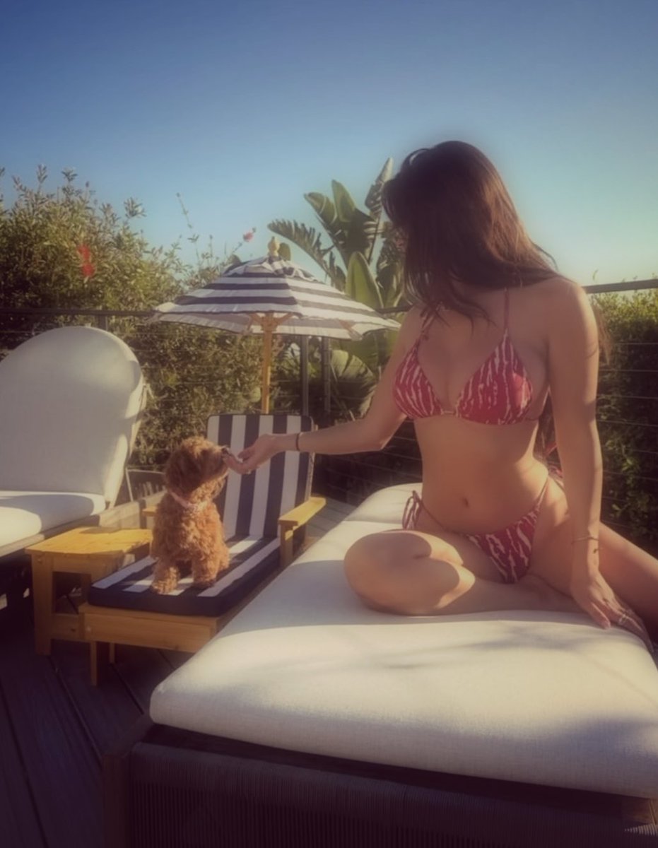 putemcvffs's tweet photo. a little piece of paradise 🌴 

having a little beach day with my baby marcy https://t.co/wPDBgogAb5
