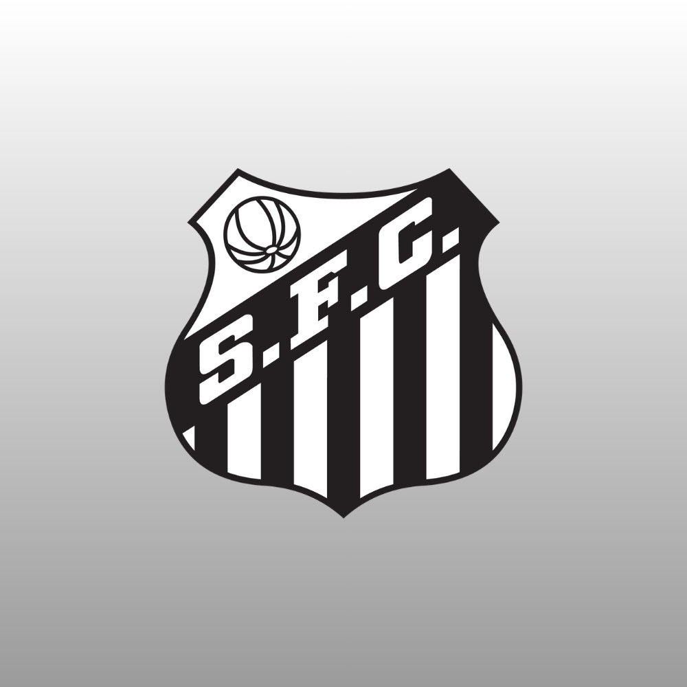 DataFutebol's tweet photo. SANTOS ESTÁ ELIMINADO DA COPA SUL AMERICANA! 🏆❌ https://t.co/3sDSGY4RwA