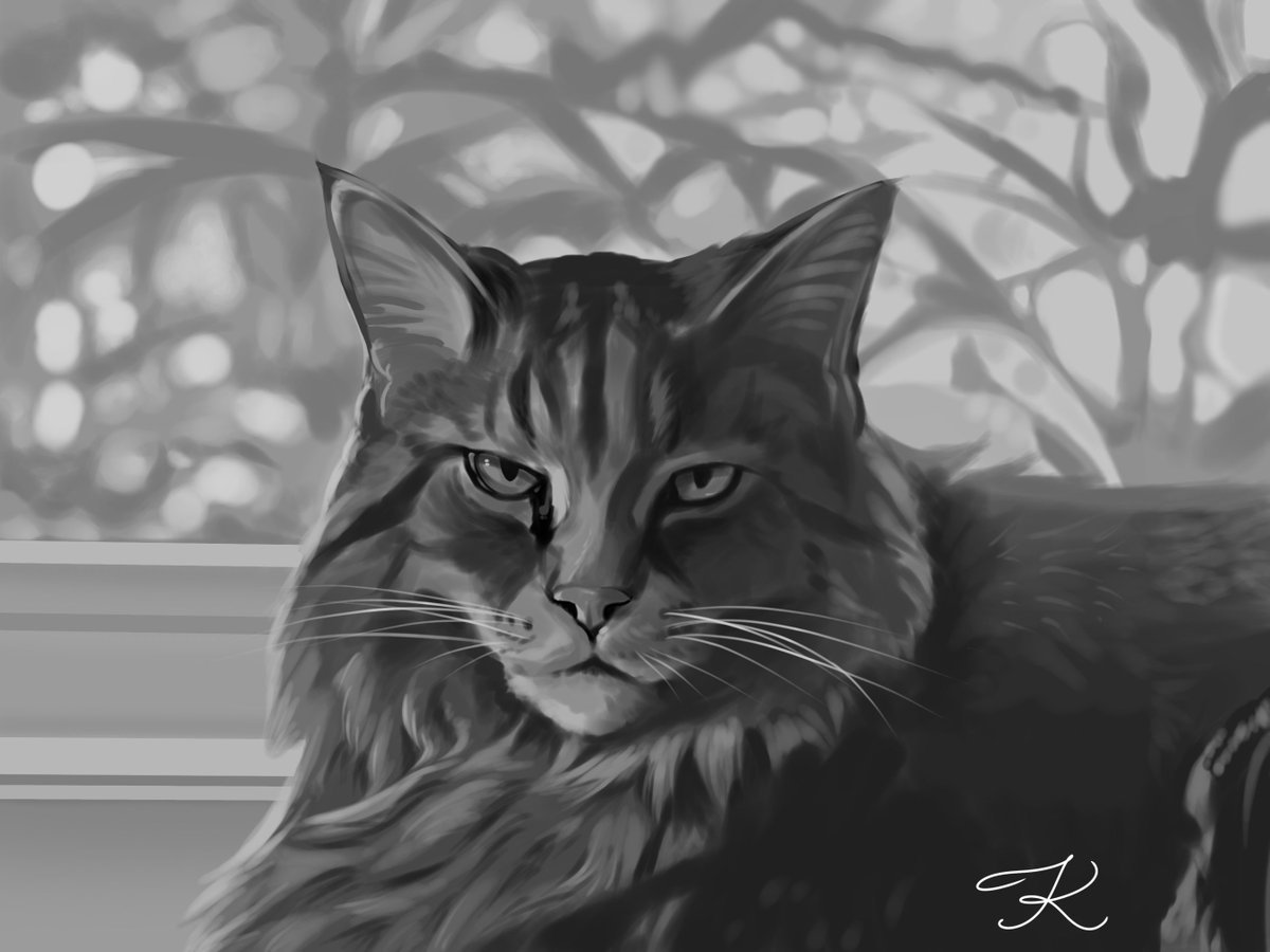 GalacticEK's tweet photo. I drew my cat https://t.co/NbJU4KrbPS