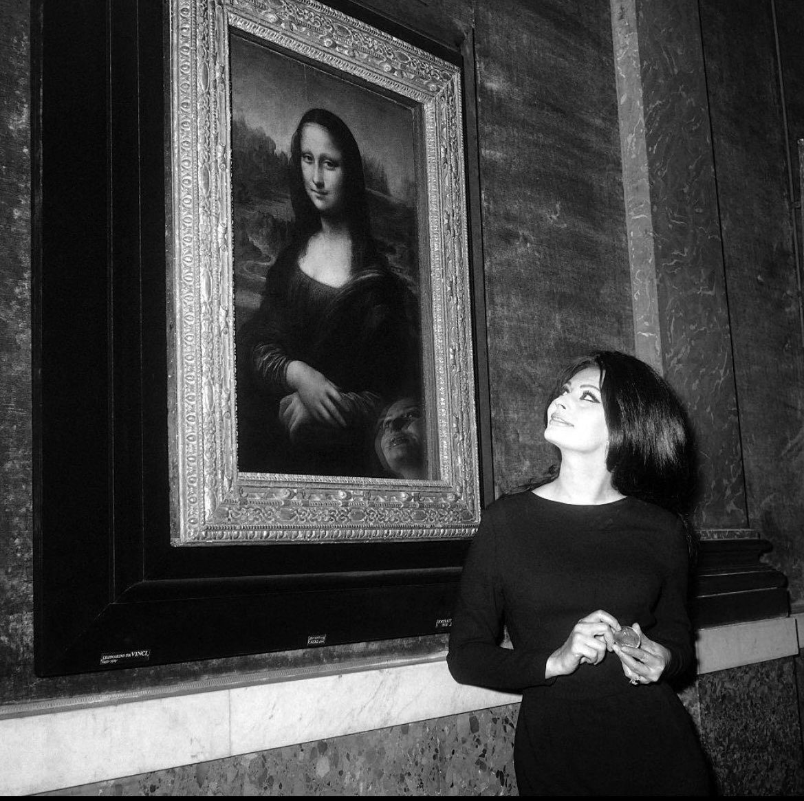 FlicksAnca's tweet photo. Sophia Loren https://t.co/TxbizHW6r3