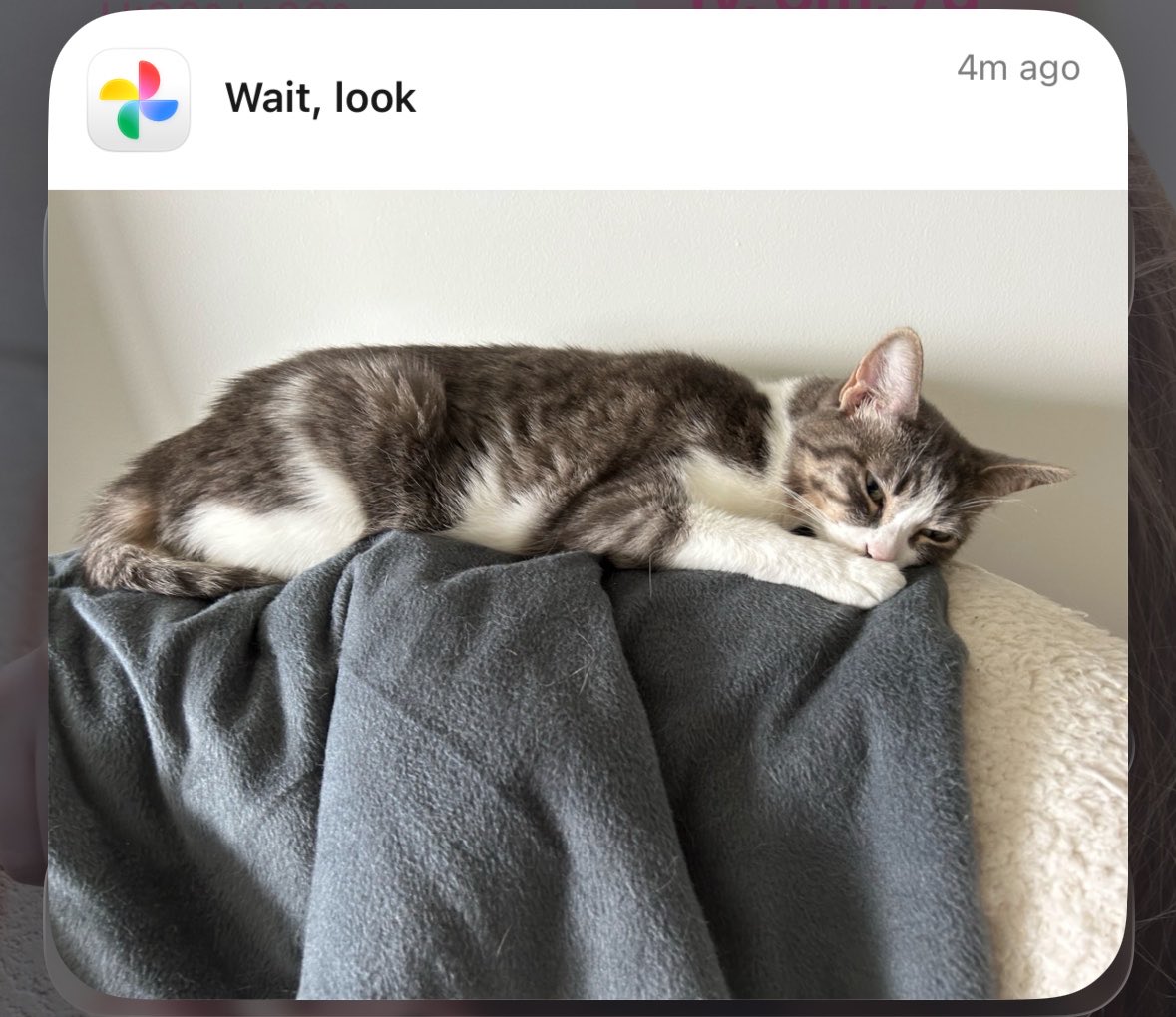 train2boston's tweet photo. look at my baby girl i miss her so bad https://t.co/5VjfUaGvqj