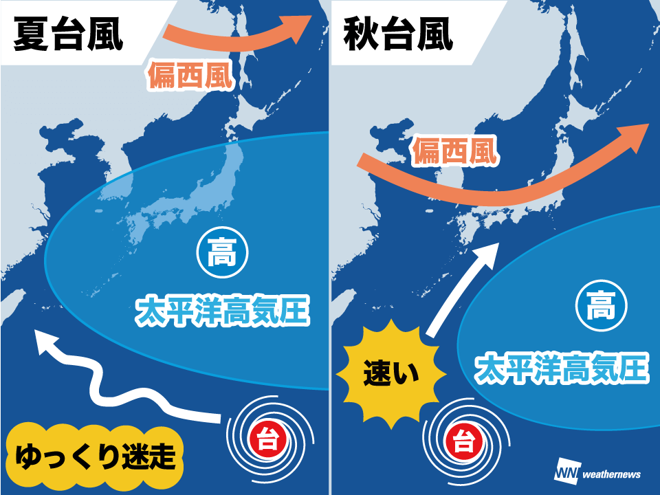 wni_jp tweet picture
