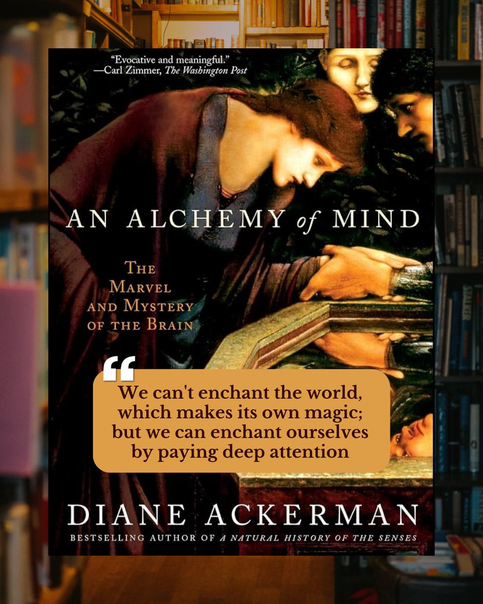 infinitybook's tweet photo. Some books remind us that wonder doesn’t have to be invented. It is already there in ordinary life, waiting for our attention. 

📖 From the shelves at Infinity Books Japan — An Alchemy of Mind: The Marvel and Mystery of the Brain by Diane Ackerman https://t.co/h1URQouVgU