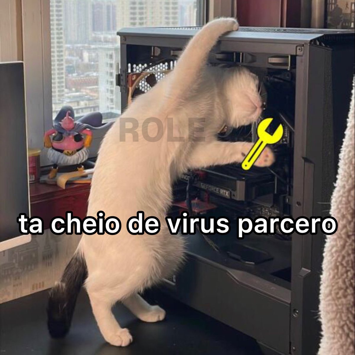 rolealeatorio's tweet photo. https://t.co/mEQbE9LF61