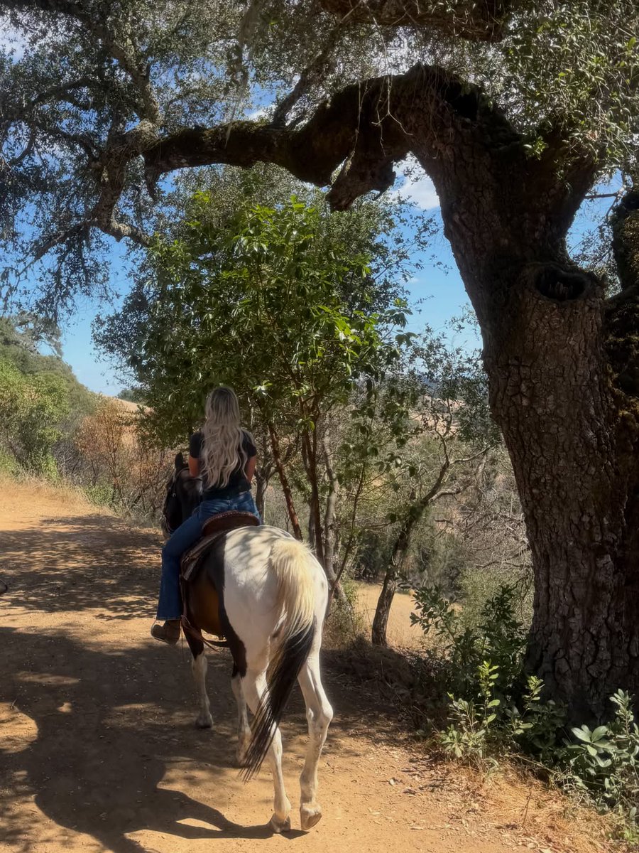 Hailey88686's tweet photo. Life lately 🐴 https://t.co/fDzFCnzqhX