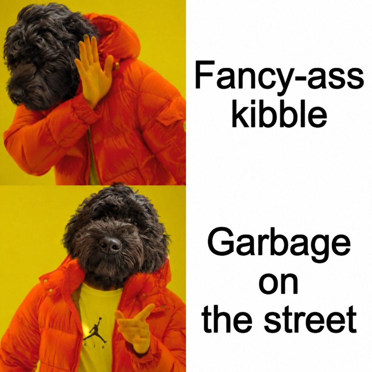 idlewile_'s tweet photo. My dog's food preferences explained. https://t.co/OMnHae7A2W