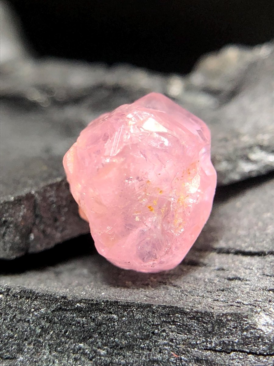 DRILLSH0CK's tweet photo. ㅤ
ㅤright   off   the   top   of   my   head ⎯⎯⎯⎯ spinel .ᐟ   why,   do   you   ask ˀ̥   drumroll   please   ...   it   represents   devotion   and   deep   passion .ᐟ
ㅤ https://t.co/EEErSQxENb
