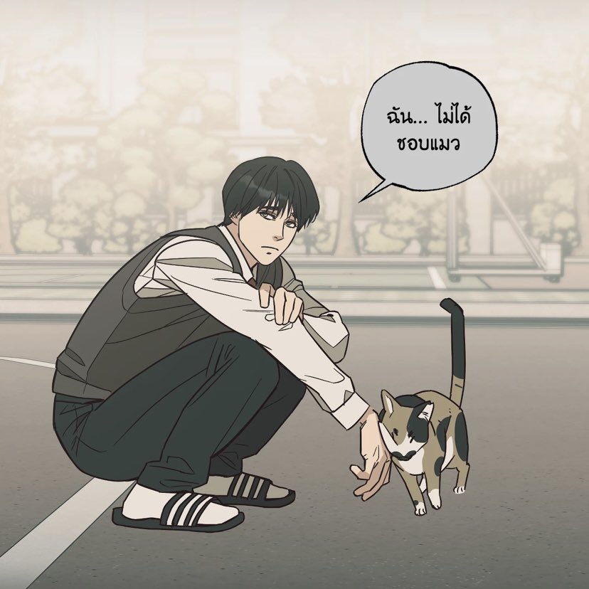 thefourthofjun's tweet photo. ฉันไม่ได้ชอบแมว(🐈🐈‍⬛??)🥺🥺🫳🏻🫳🏻 https://t.co/aygkjWBfPr