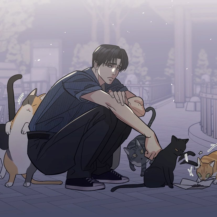 thefourthofjun's tweet photo. ฉันไม่ได้ชอบแมว(🐈🐈‍⬛??)🥺🥺🫳🏻🫳🏻 https://t.co/aygkjWBfPr