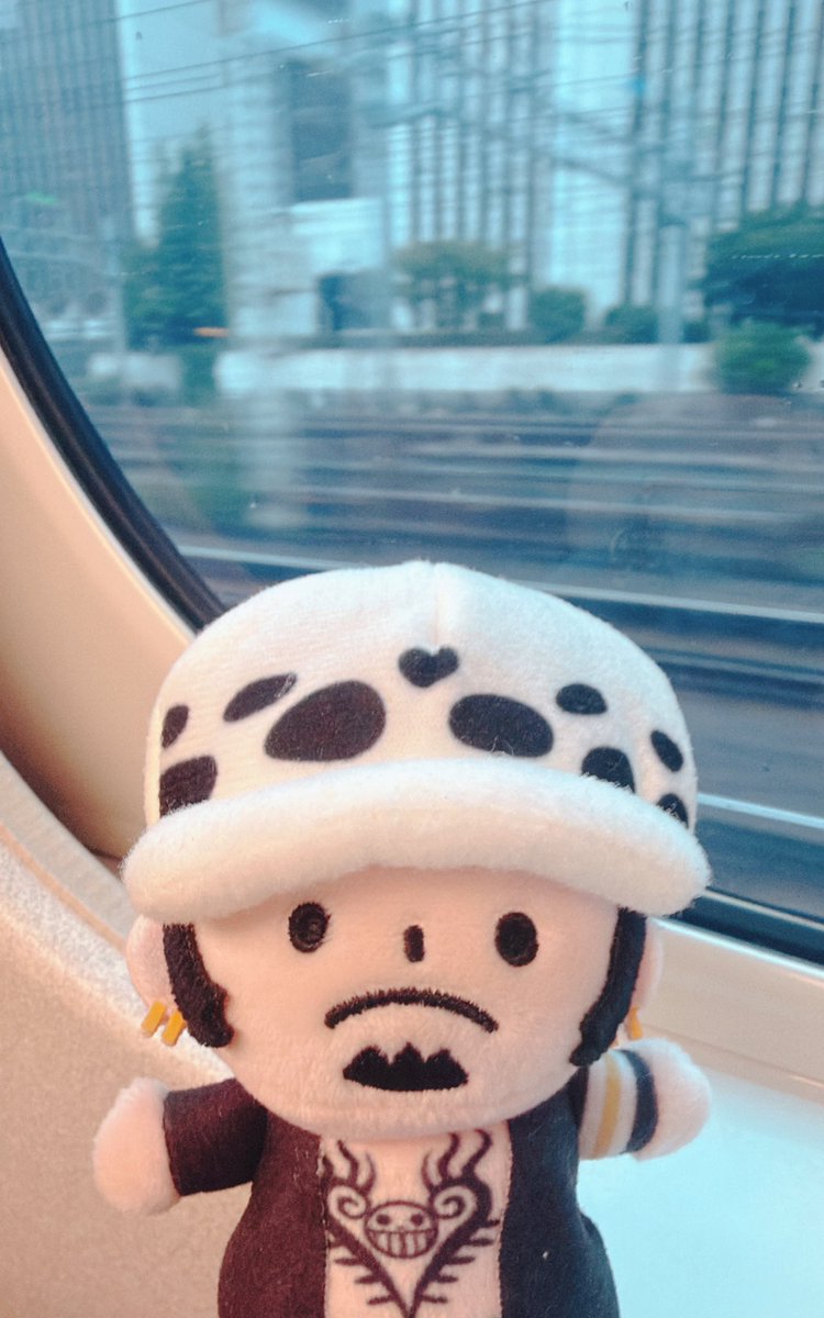 shiki_11's tweet photo. なつ！いくよ！ https://t.co/9jYark1OCx