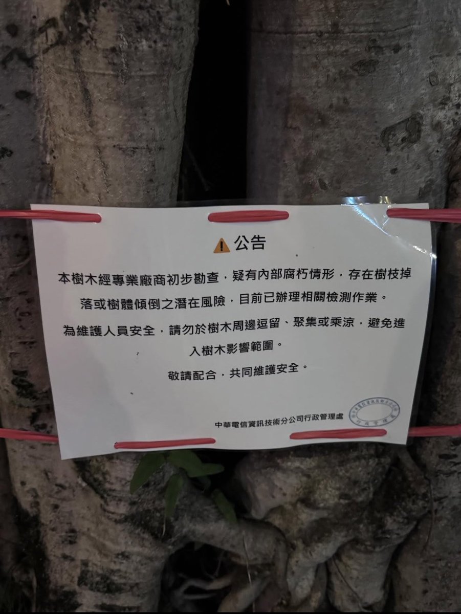 OttoHuang120's tweet photo. 台北市 金甌女中、 中正紀念堂 旁邊的
這一棵參天大樹，即將要被蔣萬安市府砍掉了
有誰相信，被蔣萬安 市府 砍掉的5819 棵樹，都有 生病？ https://t.co/cOrLNuPOGS