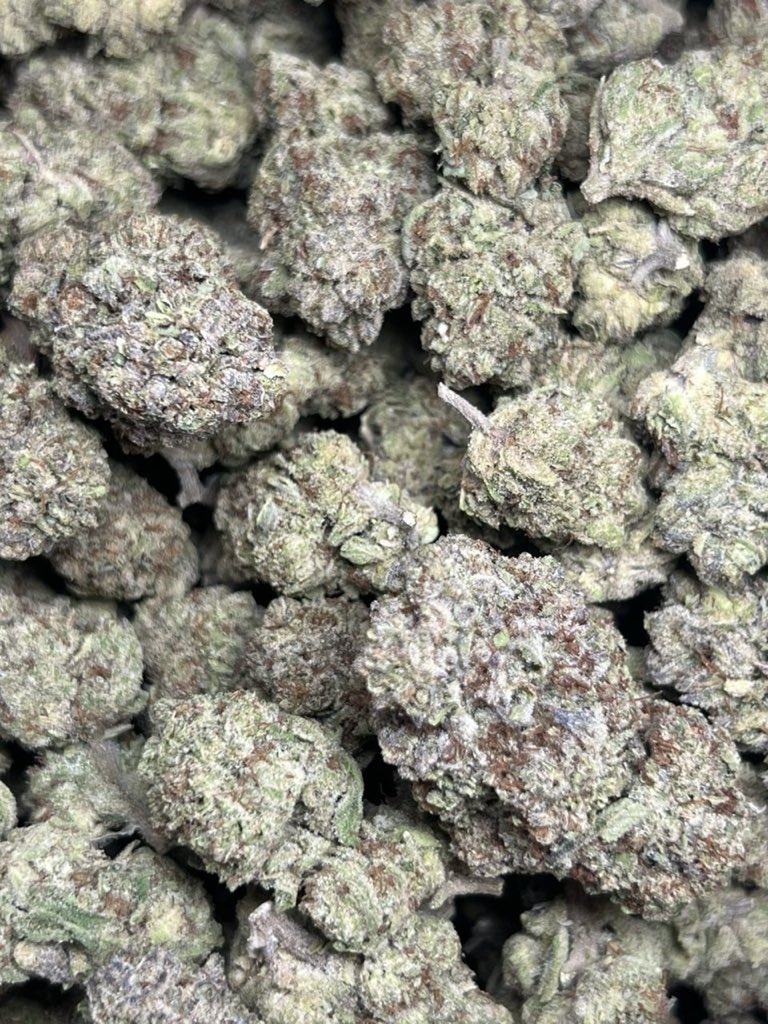 PackPro26's tweet photo. Oreos Licensed Dep
hmu 📲 https://t.co/s7KtLlp36n