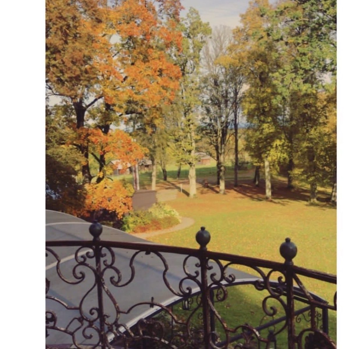 JessWalkerWeb3's tweet photo. Catching moment the leaves start to change colour .. https://t.co/nSDOmaAzR2