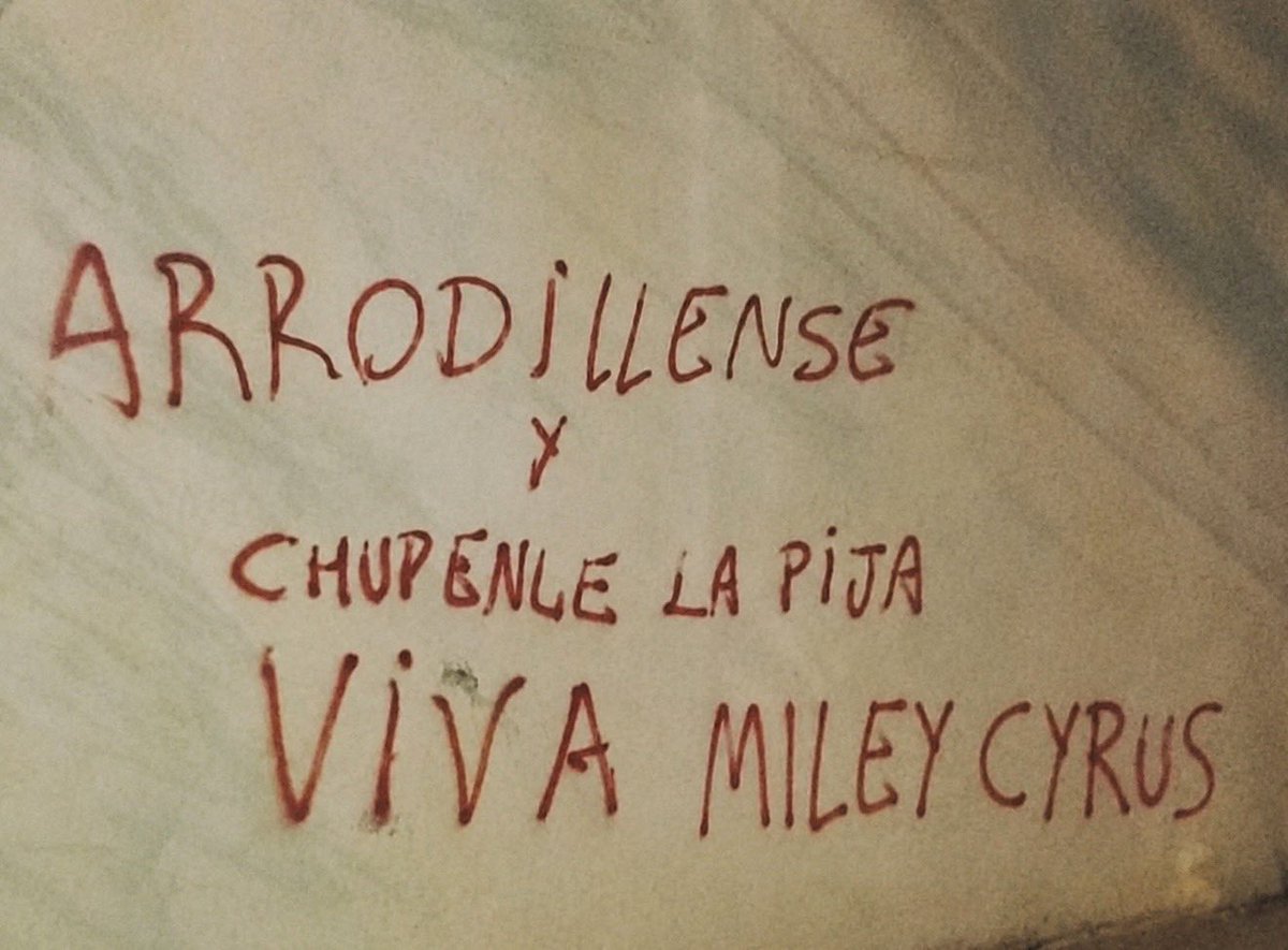 nachocipullo's tweet photo. si juntamos a Madonna, David Bowie, Freddie Mercury, Prince, un poco de Stevie Nicks y Fletwood Mac, y talking heads. se forma MILEY 
BASS PERSUADES ALBUM DEL SIGLO. su verdadera reivindicación como ARTISTA 🛐❤️‍🔥✨ https://t.co/0E72i2SRvk