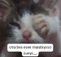 Mapaxitouwu's tweet photo. unu https://t.co/vBkJCBozkS
