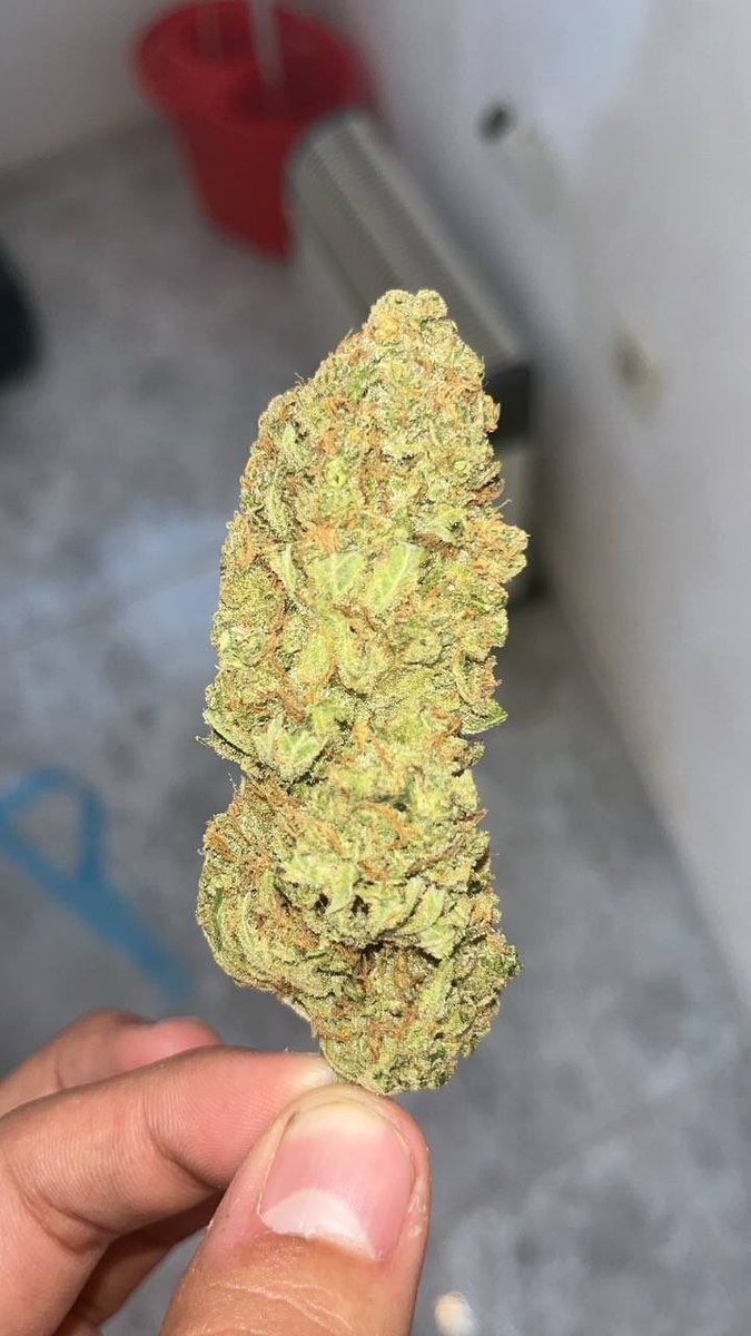 CannabisPo70886's tweet photo. Darmanin
#Bordeaux #Paris #Lyon #Lille #Brest #Marseille
Livraison rapide 🇫🇷
☎️Telegram: https://t.co/KWh4S3J07v https://t.co/YbLK4vip7l