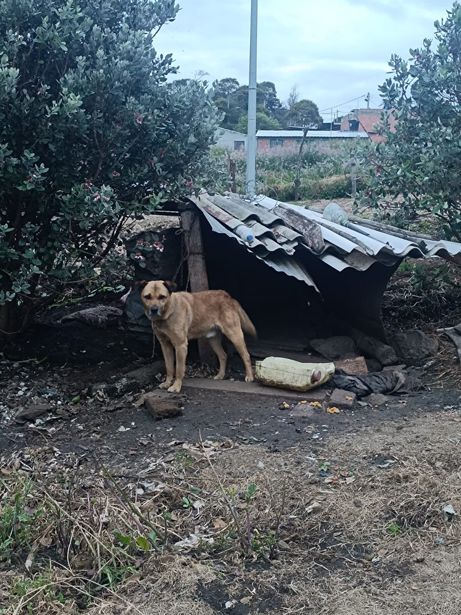 busqueloalla's tweet photo. La primera que le saqué//La de hoy https://t.co/0rQQcZ3cxR