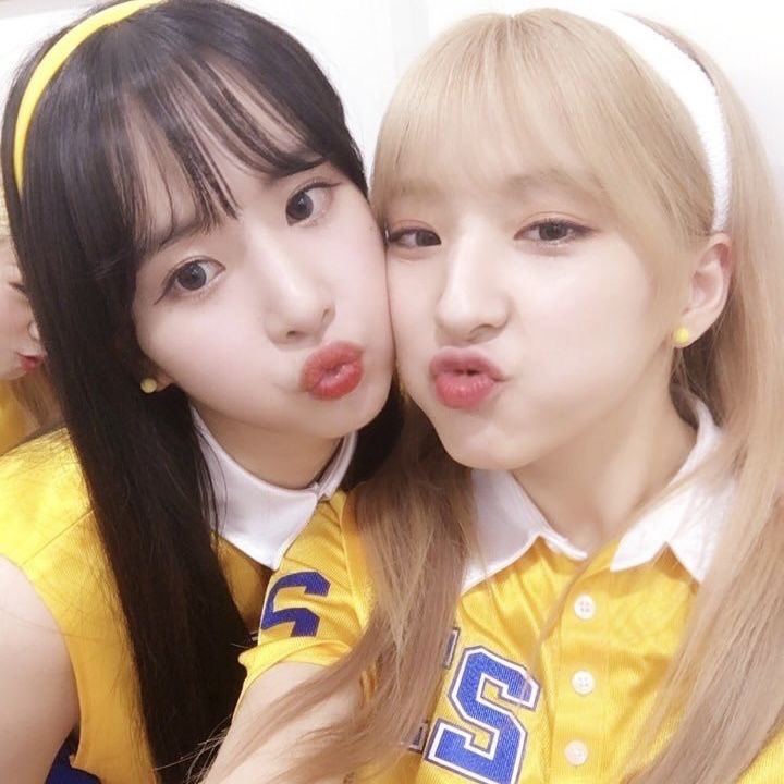oldwjsn's tweet photo. https://t.co/AeS3aVEyDl