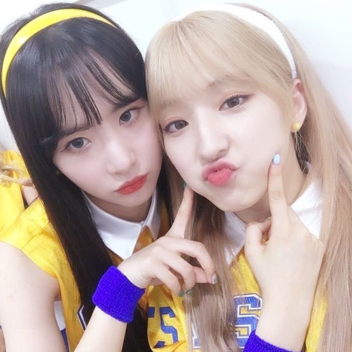 oldwjsn's tweet photo. https://t.co/AeS3aVEyDl