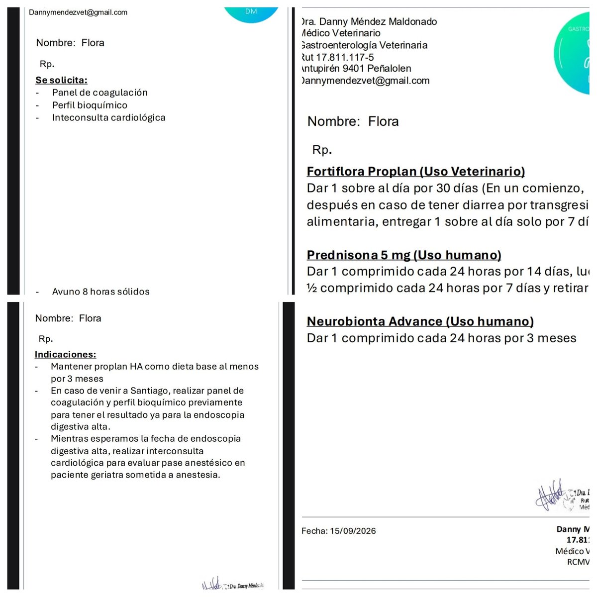 fucancl's tweet photo. LA WELITA FLORA ESTÁ MUY ENFERMA, SU INTESTINO NO ESTÁ ABSORBIENDO PROTEÍNAS. 

NECESITA AYUDA URGENTE:
ALIMENTO PROPLAN  HA $50.000
PATÉ HIDROLIZADO $6.000
NEUROBIONTA ADVANCE $30.000
FORTIFLORA $32.000
EXÁMENES DE SANGRE $50.000
CARDIÓLOGO $100.000

https://t.co/uq3hnh4sHt https://t.co/pIG83dtxY4
