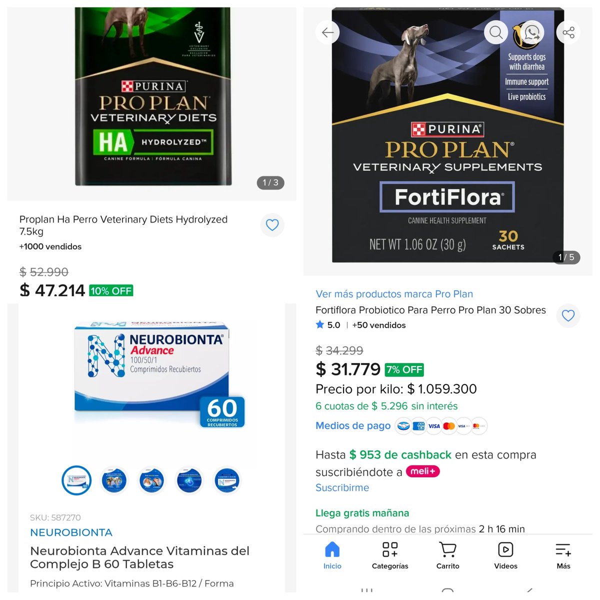 fucancl's tweet photo. LA WELITA FLORA ESTÁ MUY ENFERMA, SU INTESTINO NO ESTÁ ABSORBIENDO PROTEÍNAS. 

NECESITA AYUDA URGENTE:
ALIMENTO PROPLAN  HA $50.000
PATÉ HIDROLIZADO $6.000
NEUROBIONTA ADVANCE $30.000
FORTIFLORA $32.000
EXÁMENES DE SANGRE $50.000
CARDIÓLOGO $100.000

https://t.co/uq3hnh4sHt https://t.co/pIG83dtxY4