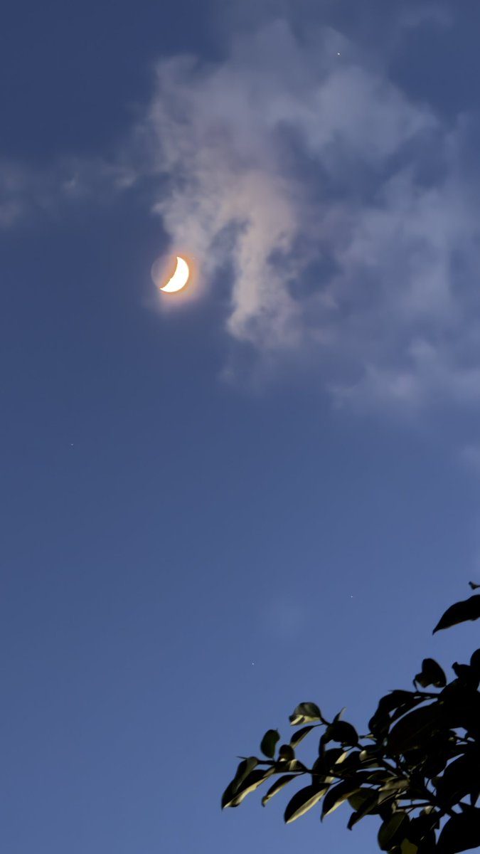 Jeniff3r_25's tweet photo. Está luna, todo que ver. https://t.co/vcQ8xfh46w